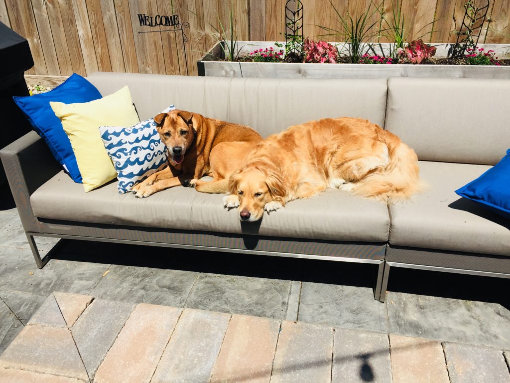 Emma & Zoe