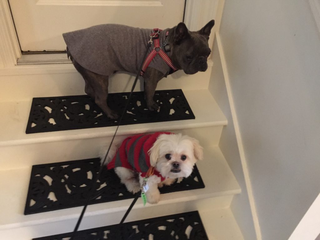 Max & Theo