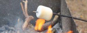 Marshmallow and Poo